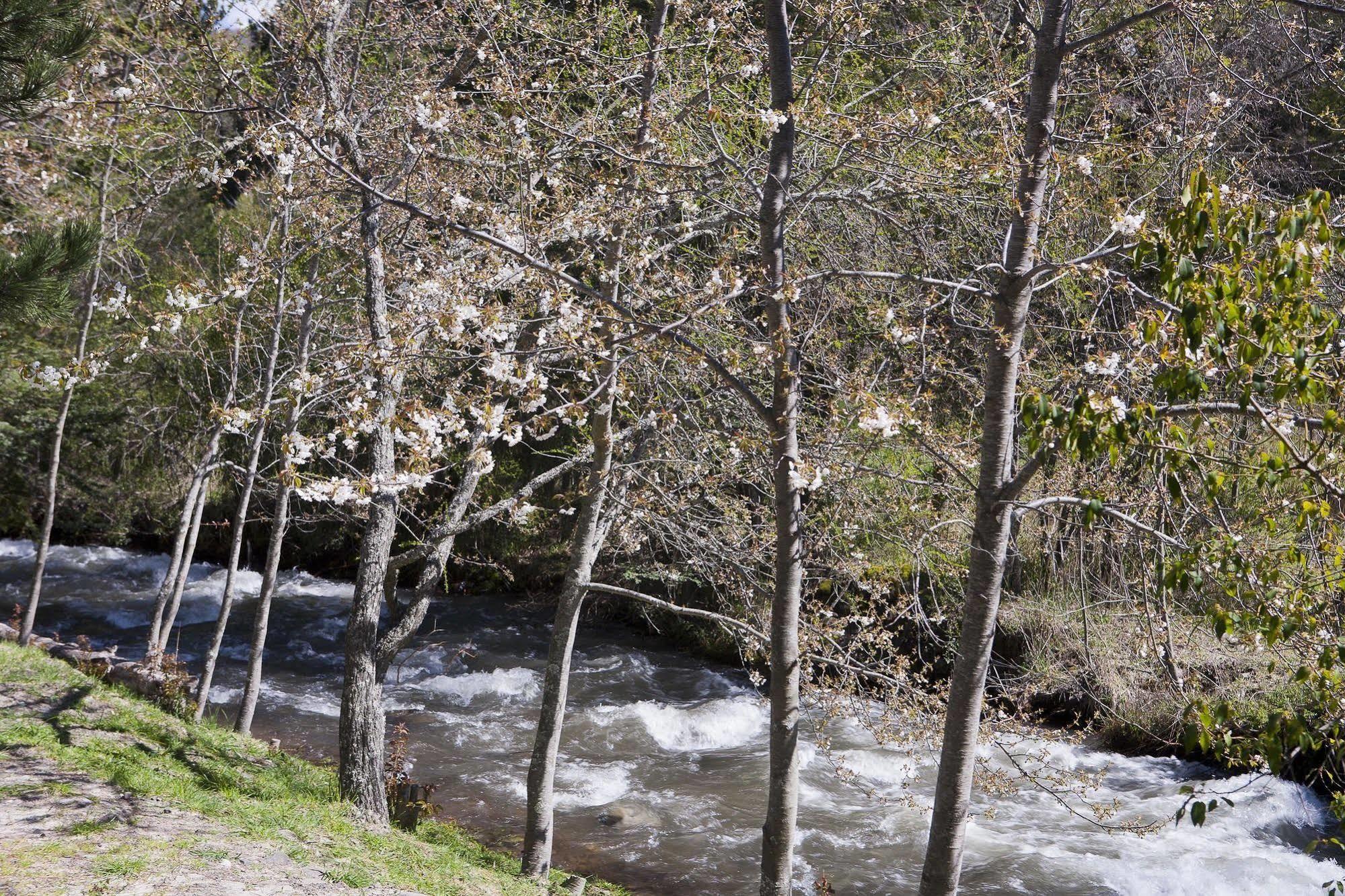 Cabanas Rucaleufu San Martín de los Andes Εξωτερικό φωτογραφία