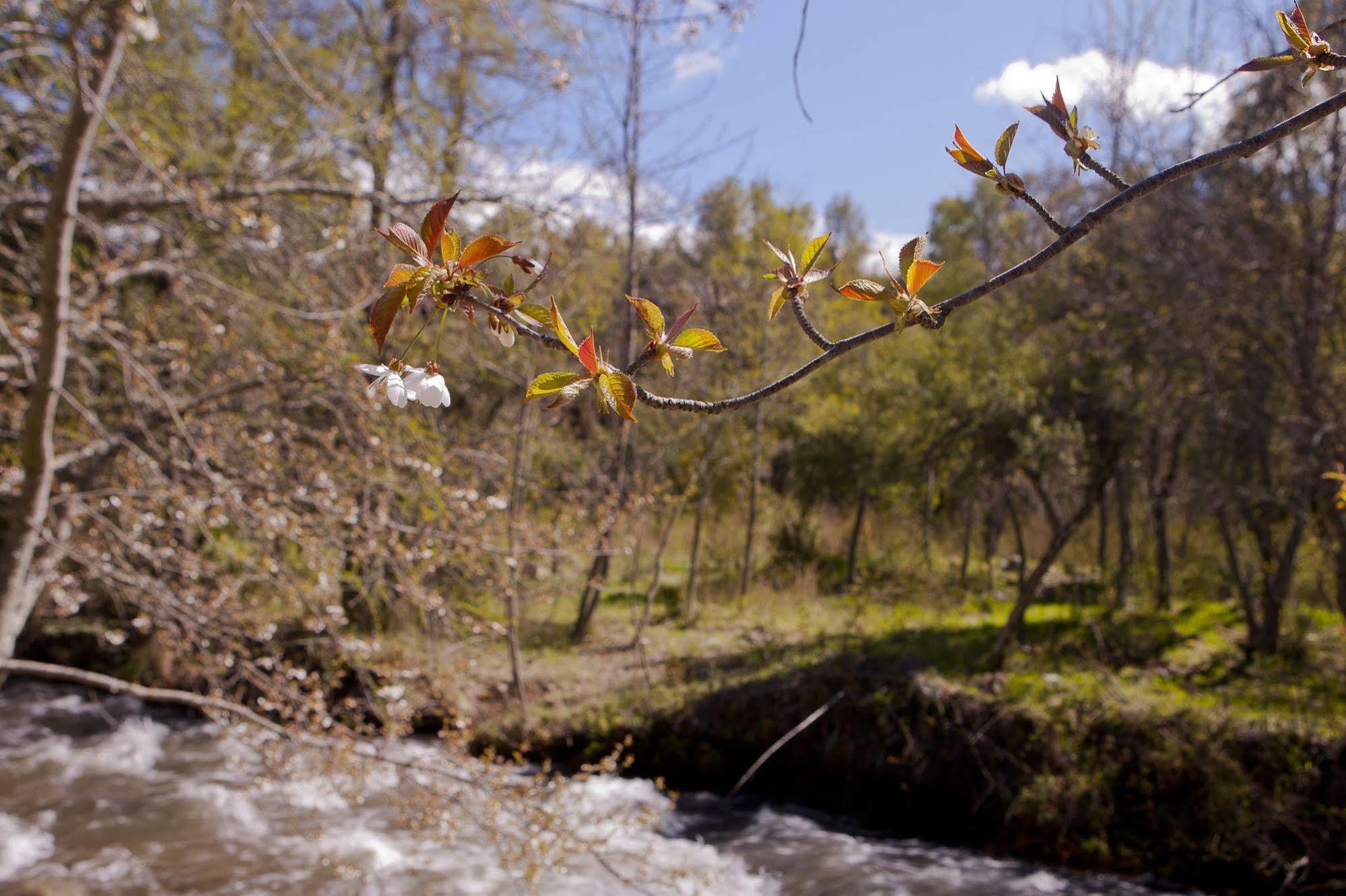 Cabanas Rucaleufu San Martín de los Andes Εξωτερικό φωτογραφία