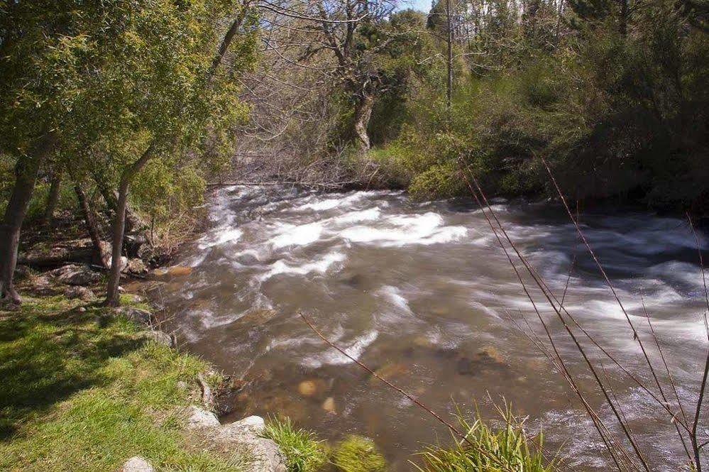 Cabanas Rucaleufu San Martín de los Andes Εξωτερικό φωτογραφία