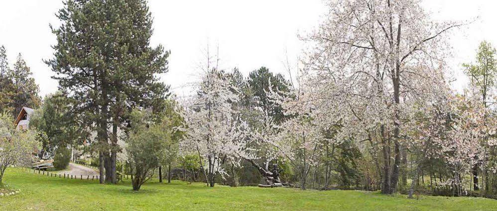 Cabanas Rucaleufu San Martín de los Andes Εξωτερικό φωτογραφία